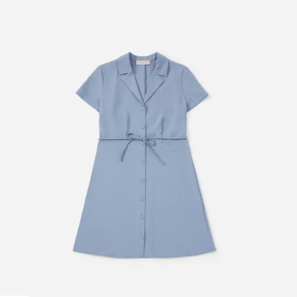 Everlane The Japanese GoWeave Notch Shirtdress